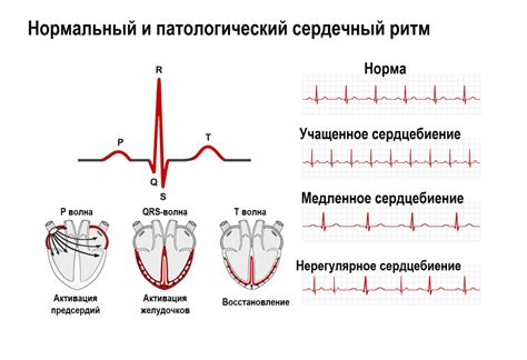 Повышенная сердцебиение и кратковременное головокружение