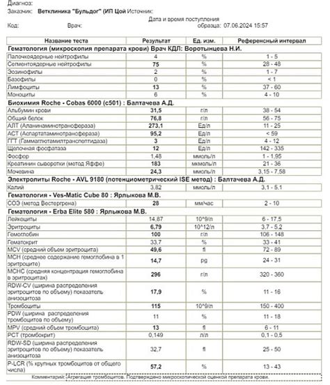 Повышенный алт у кота: причины