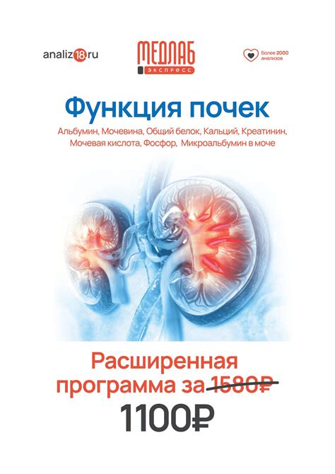 Повышенный уровень иммуноглобулина: причины и последствия