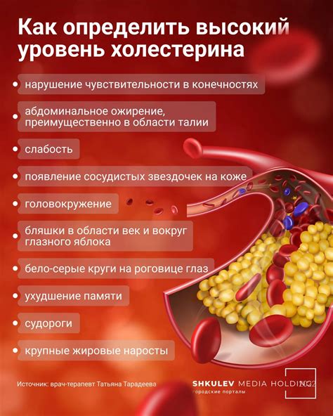 Повышенный уровень холестерина