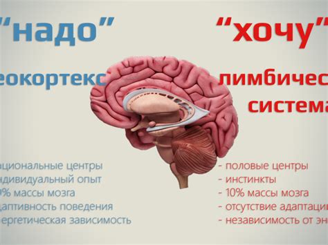 Подарки, которые помогут человеку в общении и восприятии окружающего мира