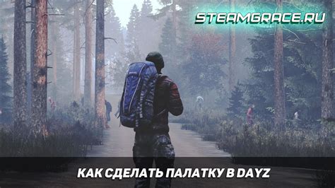 Подбор, обработка и использование шкур в игре DayZ