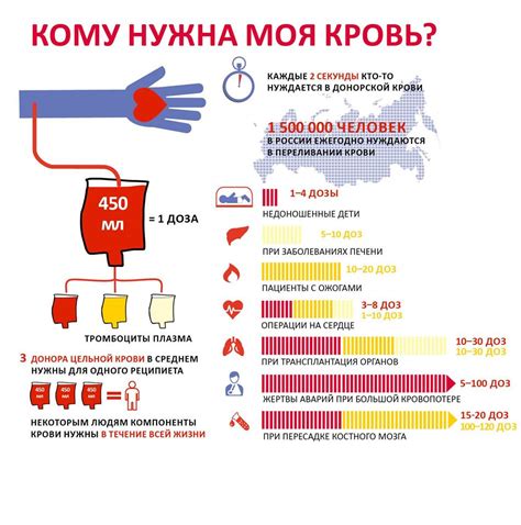 Подготовка к донорству крови: важные моменты, которые нужно знать