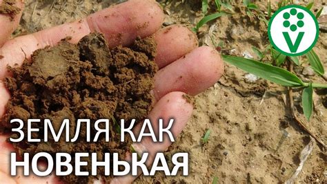 Подготовка почвы к перекопке