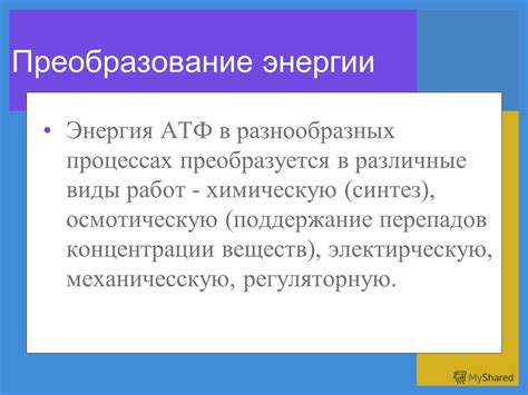 Поддержание энергии и концентрации