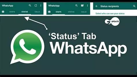 Подробная инструкция по удалению всех чатов в WhatsApp