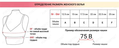 Подробная информация о размерах m, l, xl и xxl