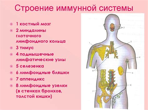 Подрыв иммунной системы