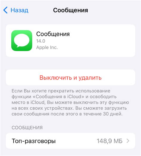 Подумайте о возможности отключения учетной записи iCloud