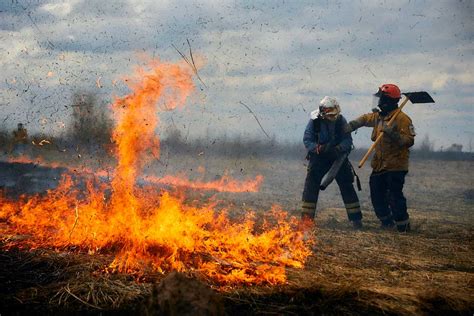 Пожары и горения