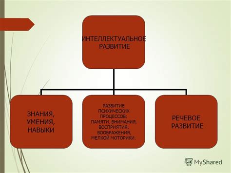 Познавательные навыки и интеллектуальное развитие