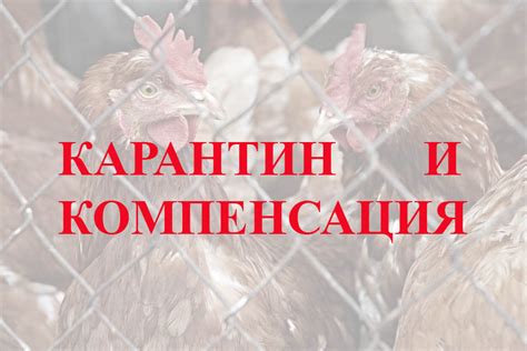 Поиск возможности возмещения убытков