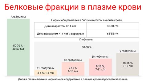 Показатели общего белка в крови