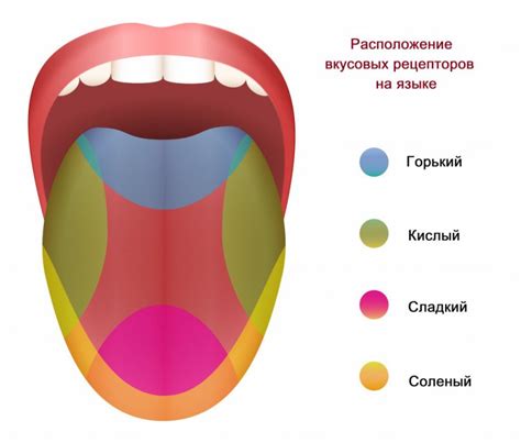 Покорители волн и вкусовых рецепторов