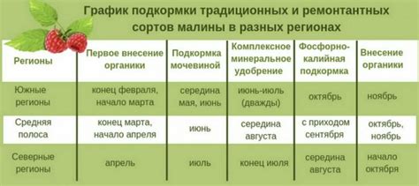 Полезные минеральные вещества для подкормки яблоней