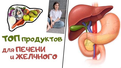 Полезные продукты для улучшения состояния желчного пузыря