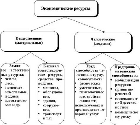 Полезные ресурсы и дополнительная информация