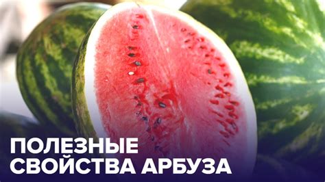 Полезные свойства арбуза при регулярном употреблении