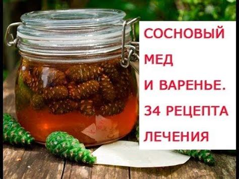 Полезные свойства зеленых шишек сосны: