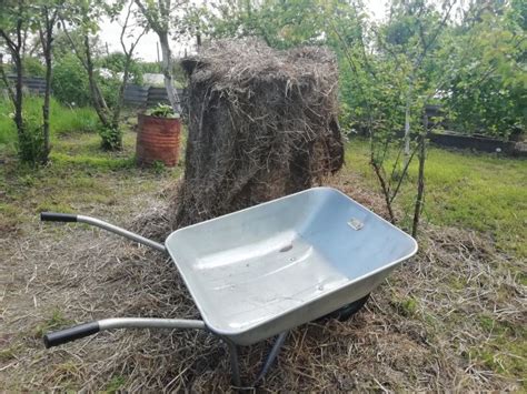 Полезные советы по обращению с дерном на больших участках