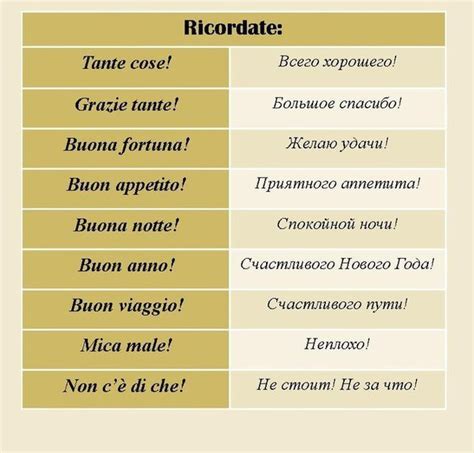 Полезные фразы и выражения на итальянском языке