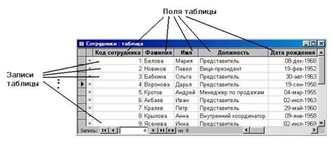 Поле в базе данных: основные характеристики и роли