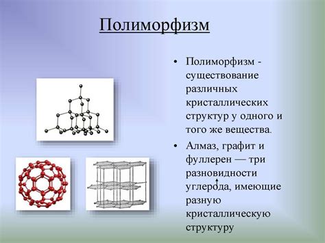 Полиморфизм в области механики