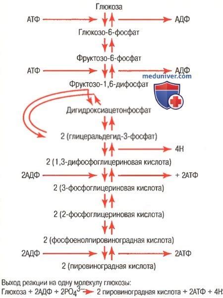 Полное управление уровнем глюкозы