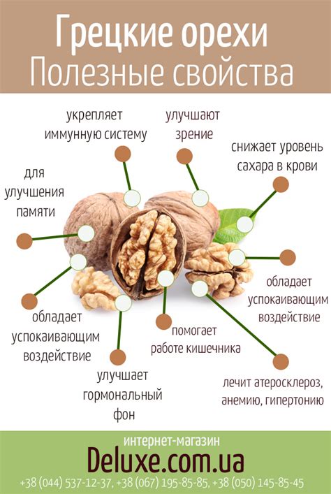 Польза грецкого черного ореха