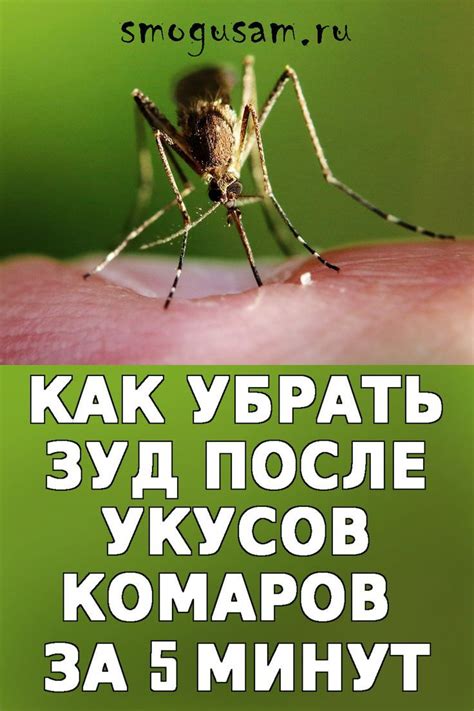 Польза ледяного компресса для снятия зуда после укуса комара