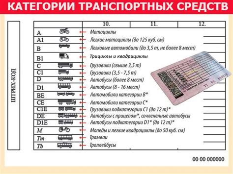 Польза открытия категории д