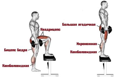 Польза тренировок с гантелями