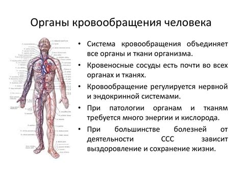 Польза ускорения лимфообращения