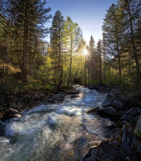 Польза Scenic для самопознания