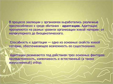 Помощь в процессе приспособления к внешней среде