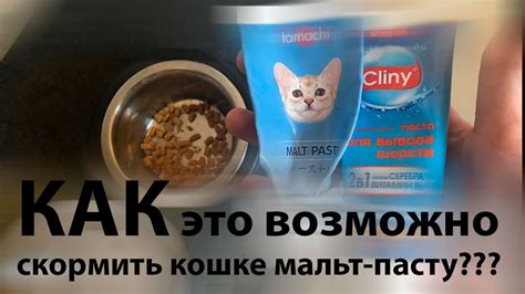 Помощь кошке, отказывающейся есть мальт пасту