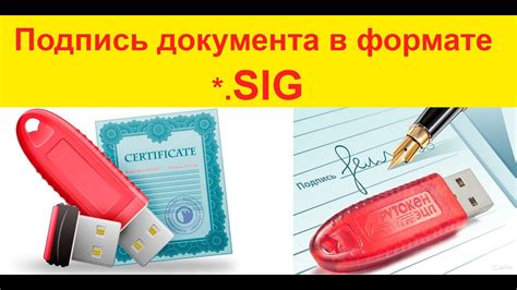 Понимание формата sig