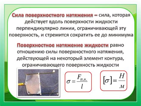 Понятие и основные свойства силы поверхностного натяжения