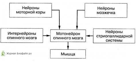 Понятие координационной ненасыщенности