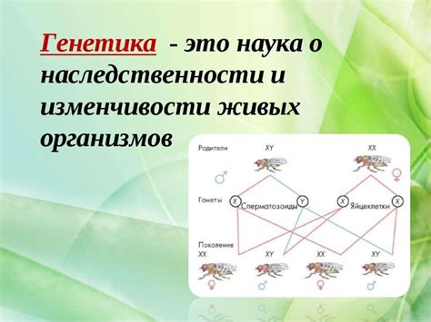 Понятие наследственности