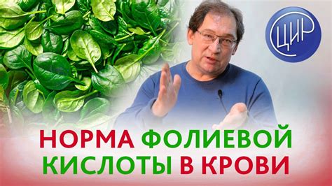 Понятие фолиевой кислоты