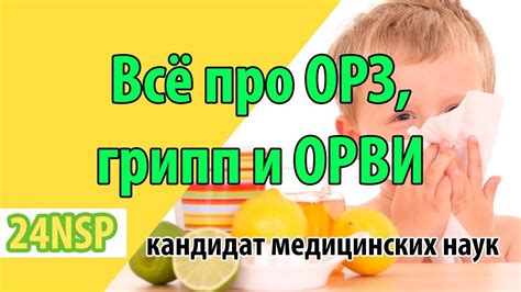 Популярные народные методы лечения ОРЗ и ОРВИ