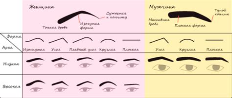 Популярные стили формы бровей у мужчин