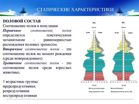 Популяционный уровень организации