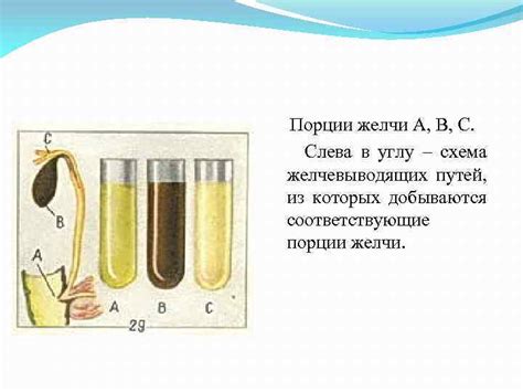 Порция в при дуоденальном зондировании