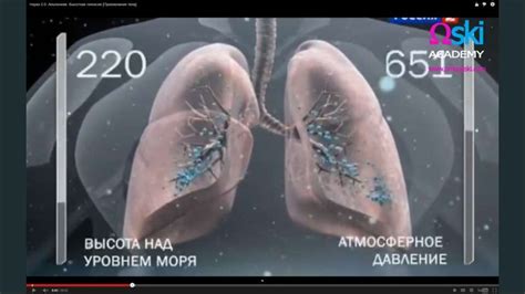 Последствия высокогорной гипоксии для организма