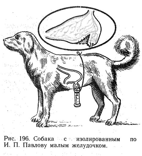 Последствия вязкости слюны