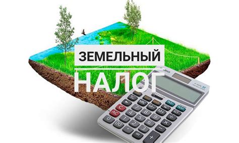 Последствия невыплаты земельного налога