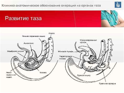 Последствия после родов и операций на органах малого таза