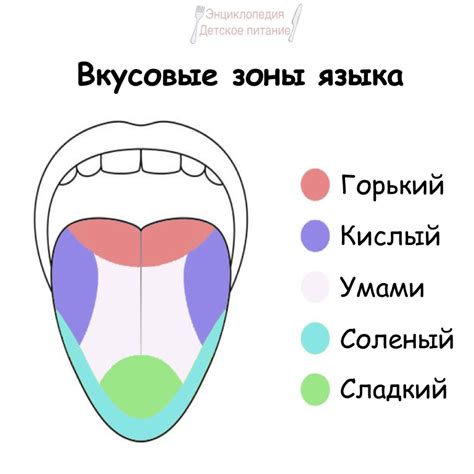 Последствия простуды на вкусовые ощущения